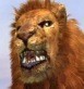 SHS|Lion